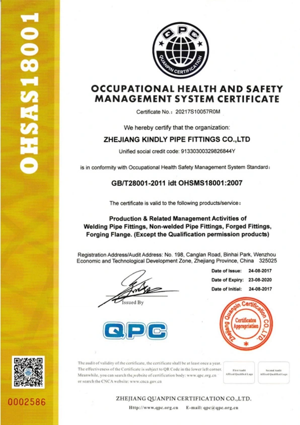 kidy pipe occupation health and safety management