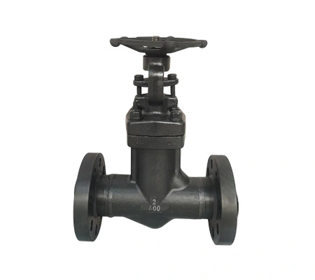 Stainless Steel Flanged Gate Valve