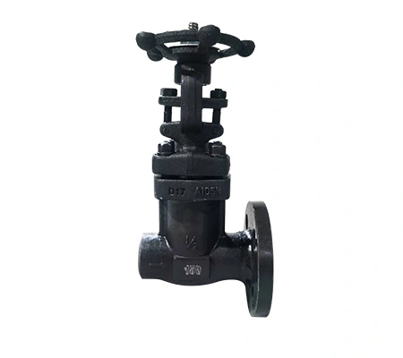 Stainless Steel Flanged Globe Valve