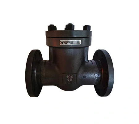 Stainless Steel Flanged Check Valve